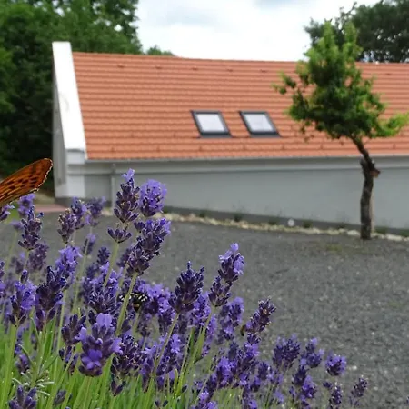 Appartement Kosbor Vendeghaz Monoszlo