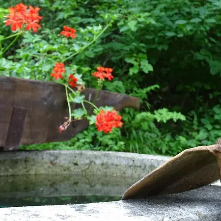 Kosbor Vendeghaz Monoszlo