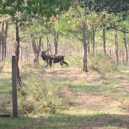 Appartement Kosbor Vendeghaz *