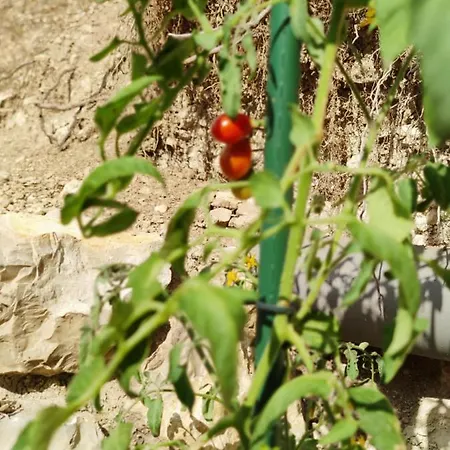 Kosbor Vendeghaz * Monoszlo