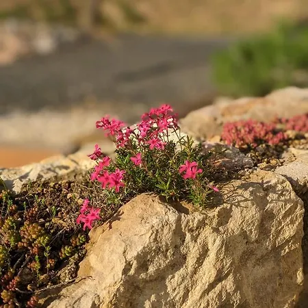 Appartement Kosbor Vendeghaz