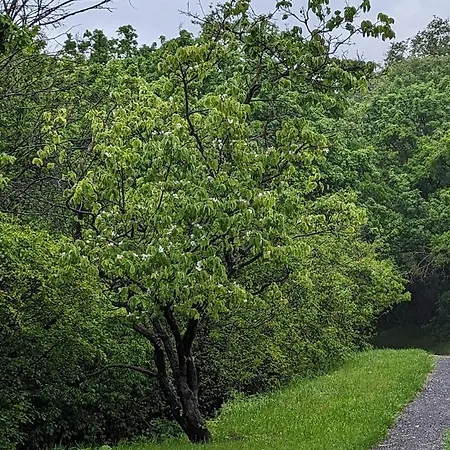 Appartement Kosbor Vendeghaz