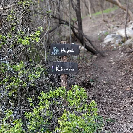 Appartement Kosbor Vendeghaz