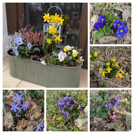 Appartement Kosbor Vendeghaz Monoszlo