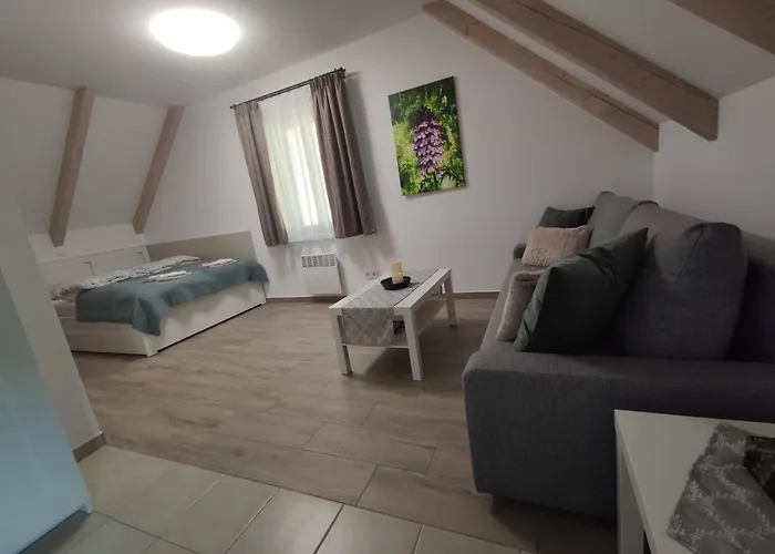 Apartament Kosbor Vendeghaz *